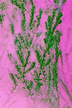 N 060F